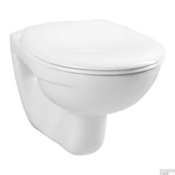 Grohe Rapid SL Toiletset Set01 Basic Smart Met Grohe Arena Of Skate Drukplaat -Badkamerwinkel toiletpot boss en wessing basic smart 0261525 28